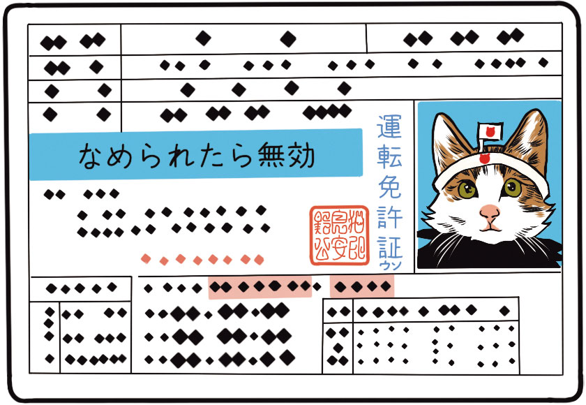 なめ猫