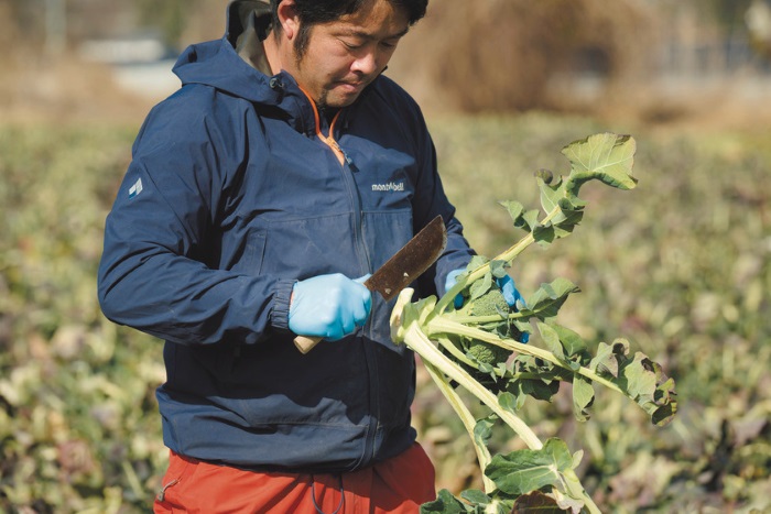 いまみーんな着てるマウンパはどうして街で着られるようになったの？ ‐「マウンテンパーカ」の教科書