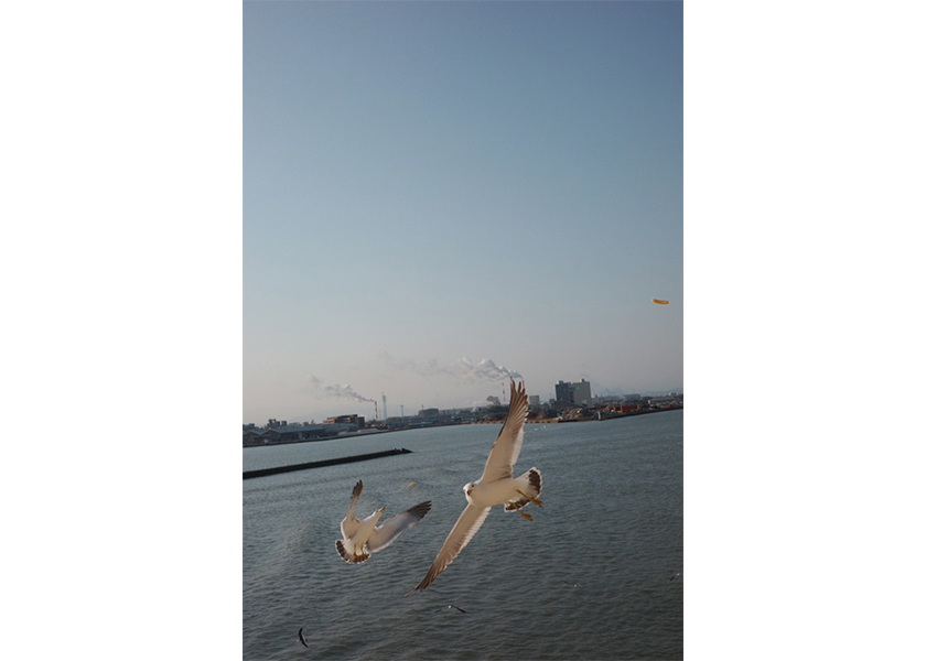 Photo Gallery