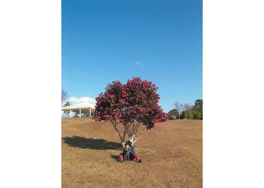 Photo Gallery