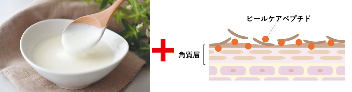 補水力と保水力に優れたビフィズス菌培養水・肌本来の働きを促すピールケアペプチド