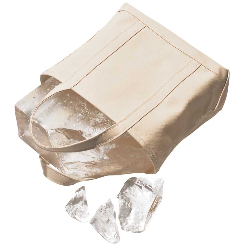 トートバッグの進化