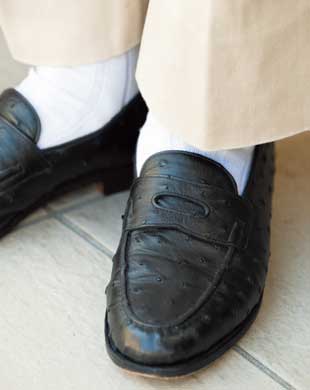 存在感バツグンのオーストリッチ