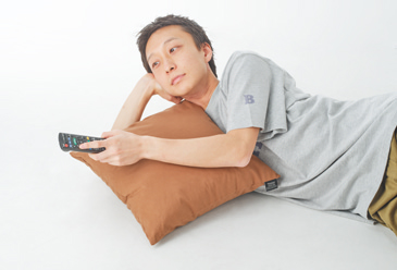 TAION タイオンのダウン コンフォーターウィズ クッション