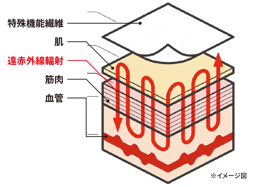 初採用のリカバリー生地で血行促進→疲労軽減が見込める