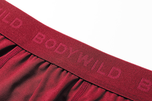 ロゴの主張を排してソリッド化