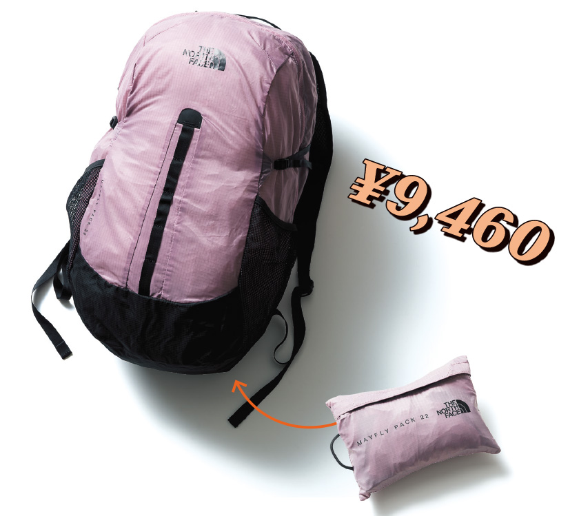 ザ・ノース・フェイス メイフライパック22
