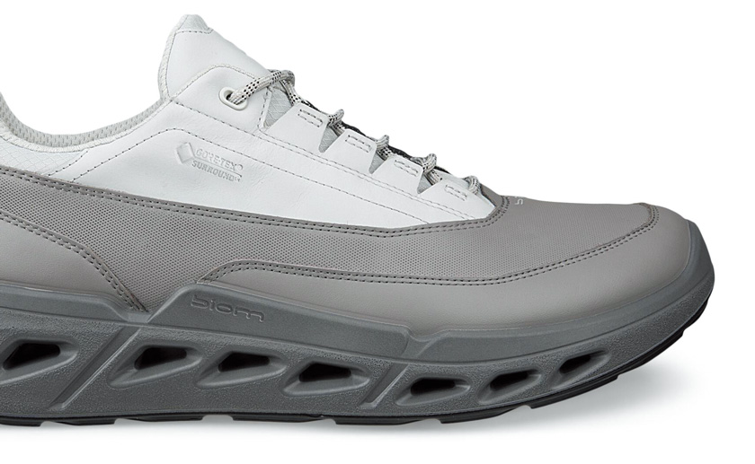 エコー バイオム 720