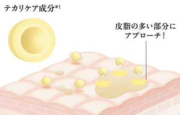 水分・油分バランスを整えて、テカリも毛穴もまとめてケア