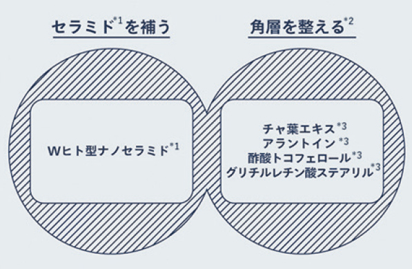 肌の乾燥ループを断つダブル保湿設計