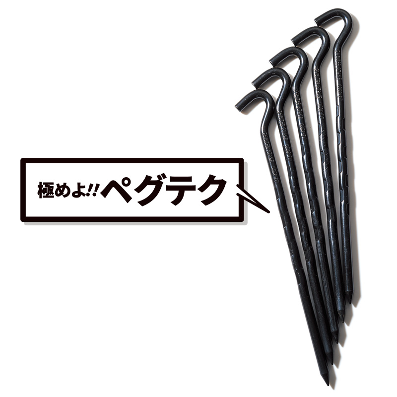 てっぱ シェルターステイク220